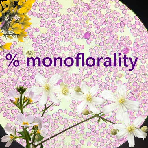 Визначення % МОНОФЛОРНОСТІ меду